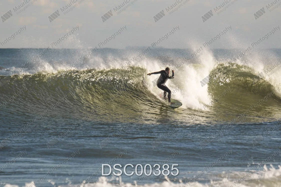 DSC00385.jpg