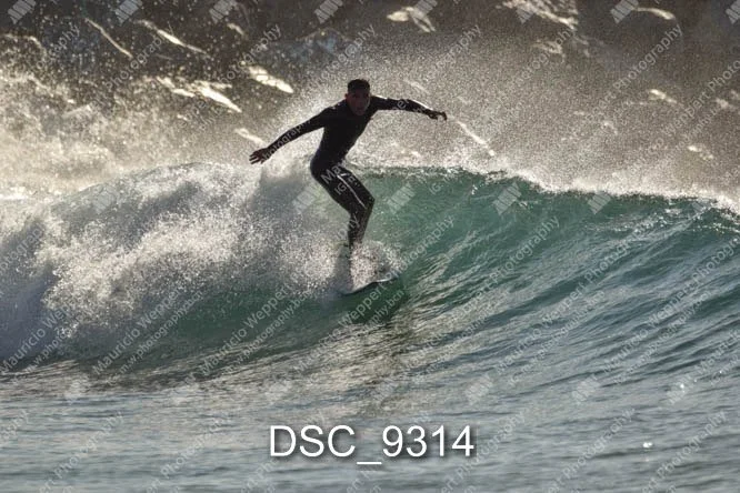 DSC_9314.jpg