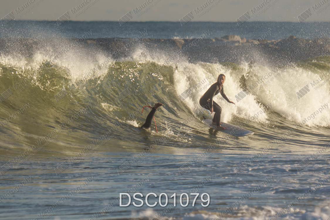 DSC01079.jpg