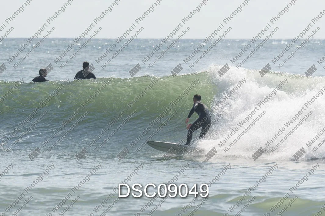 DSC09049.jpg