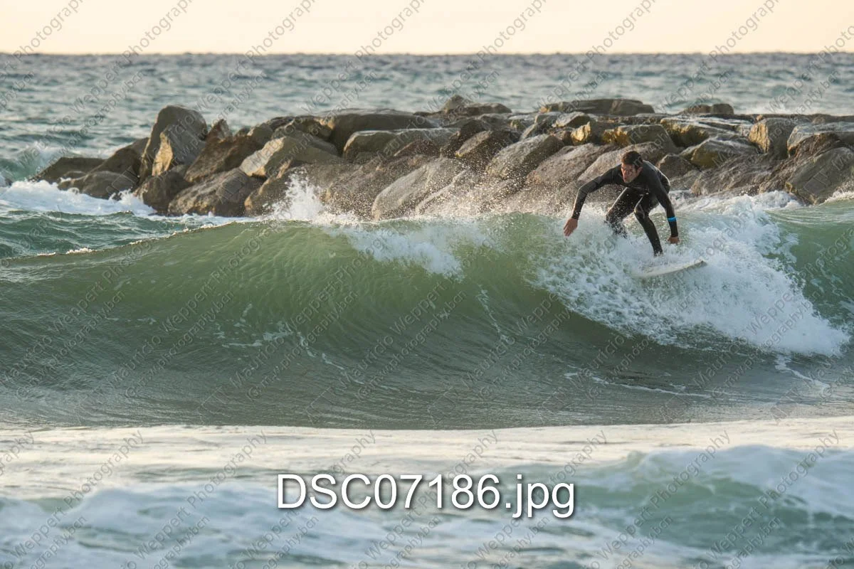 DSC07186.jpg
