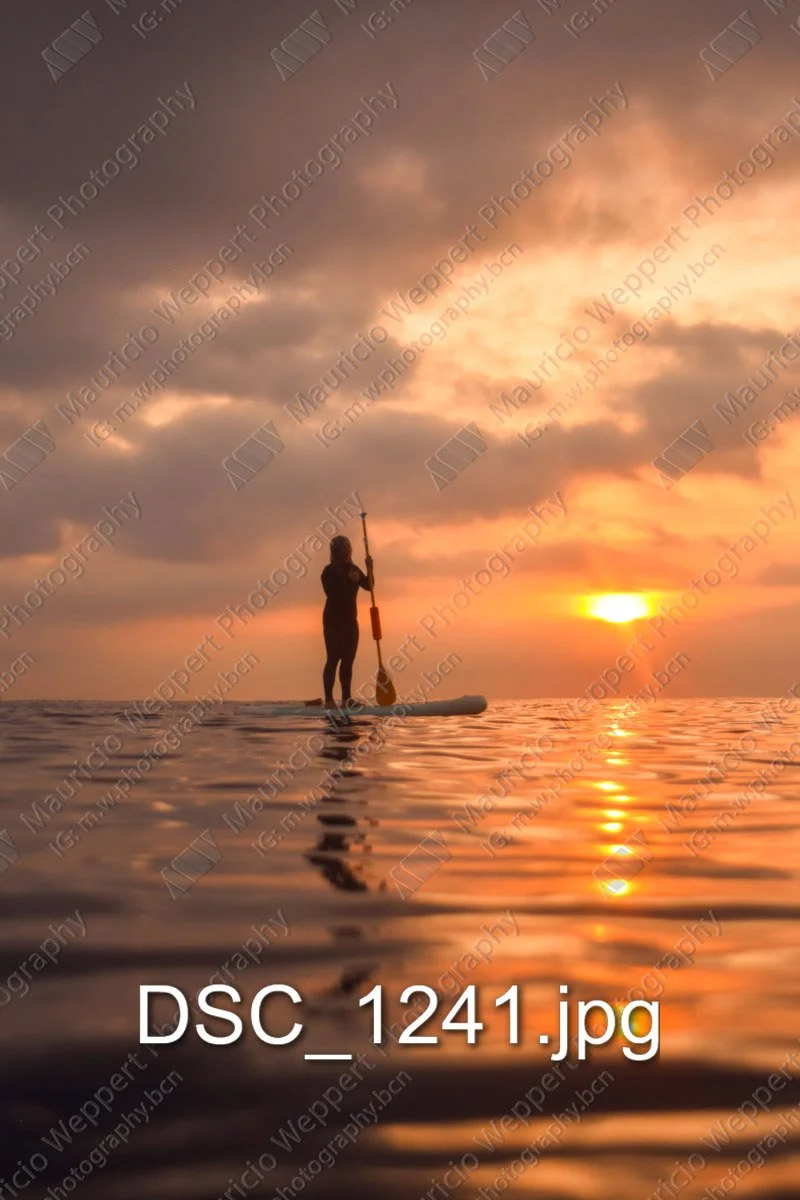 DSC_1241.jpg