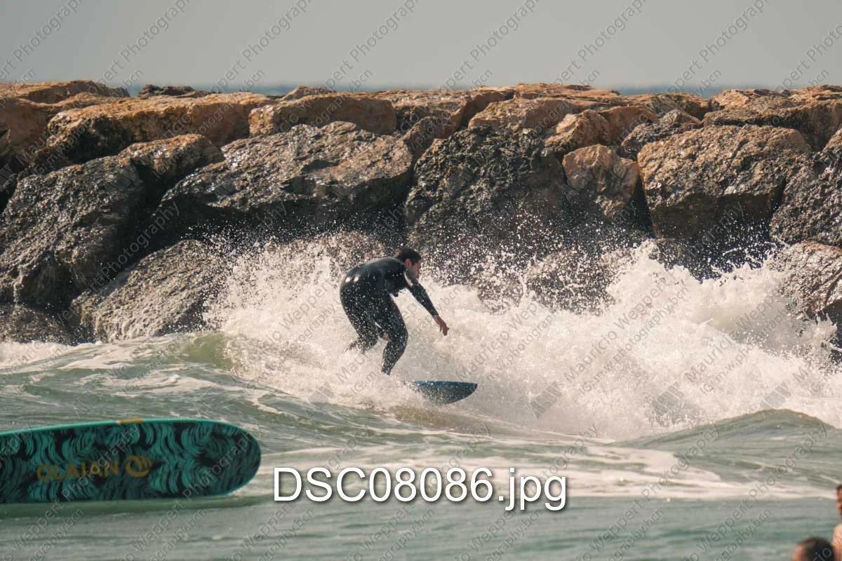 DSC08086.jpg