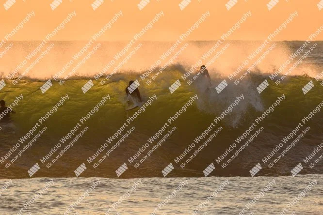 DSC_3698.jpg