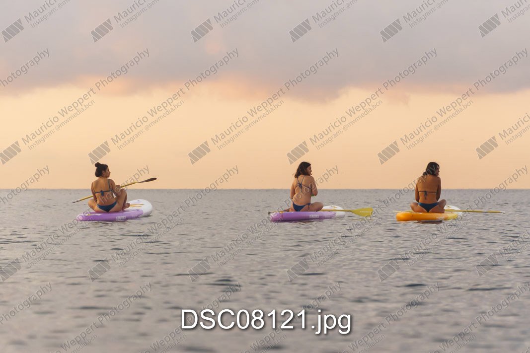 DSC08121.jpg