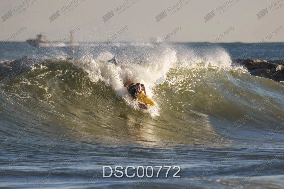 DSC00772.jpg