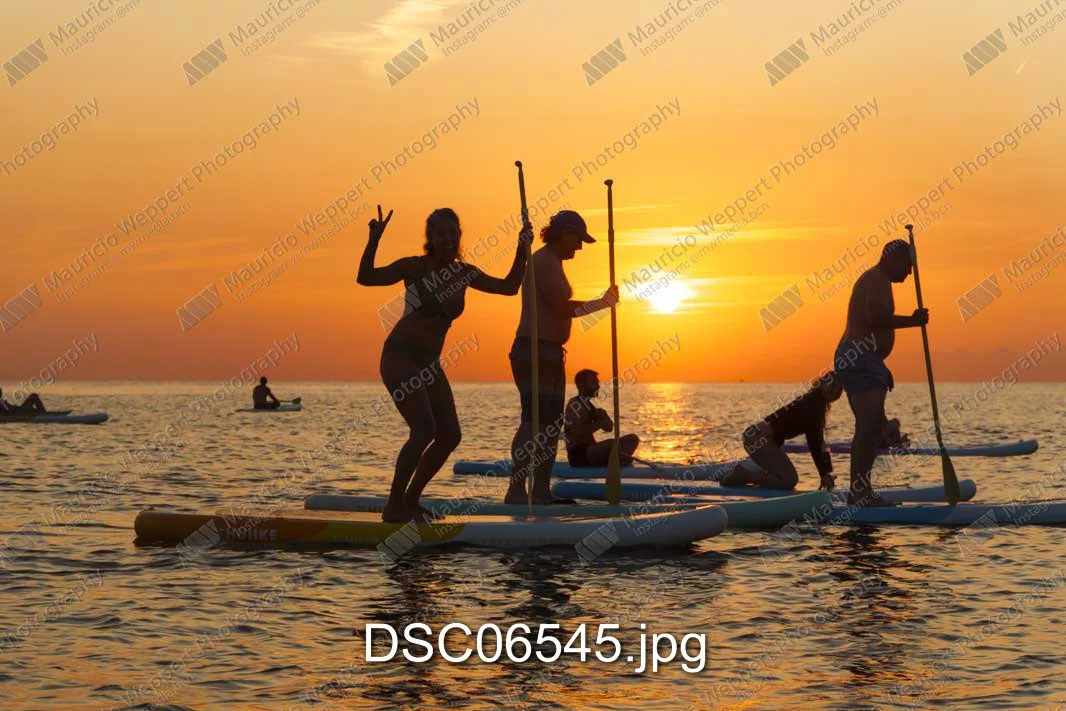 DSC06545.jpg