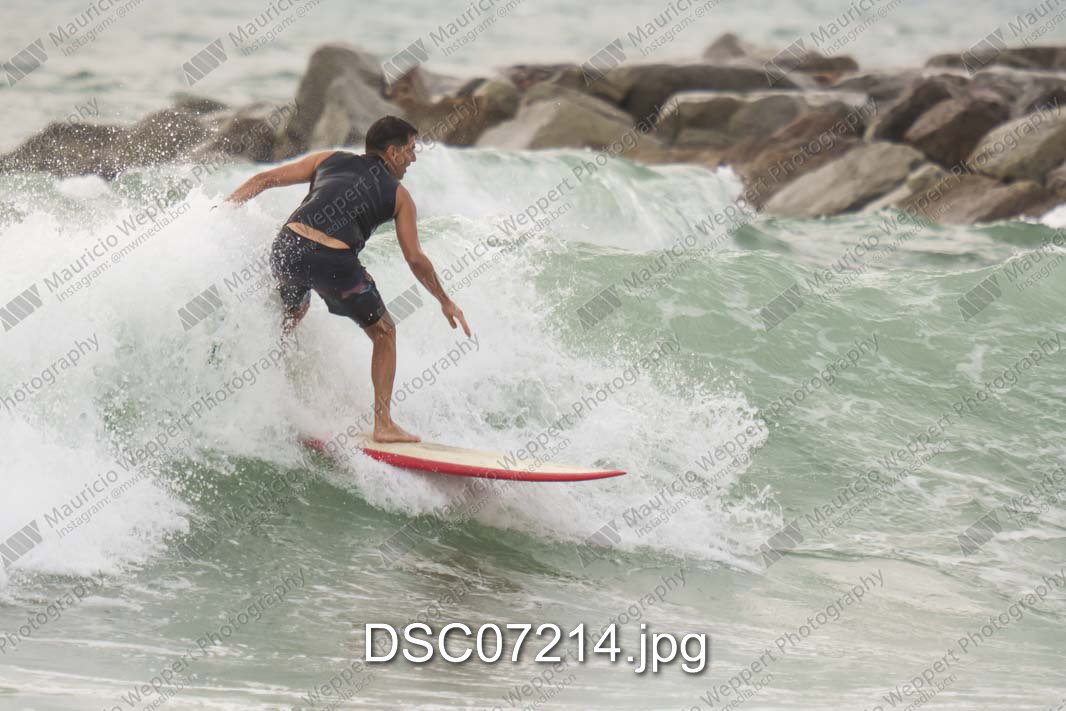 DSC07214.jpg