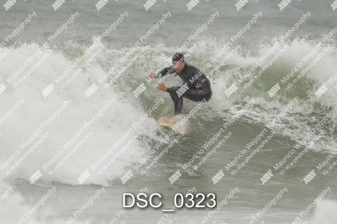 DSC_0323.jpg