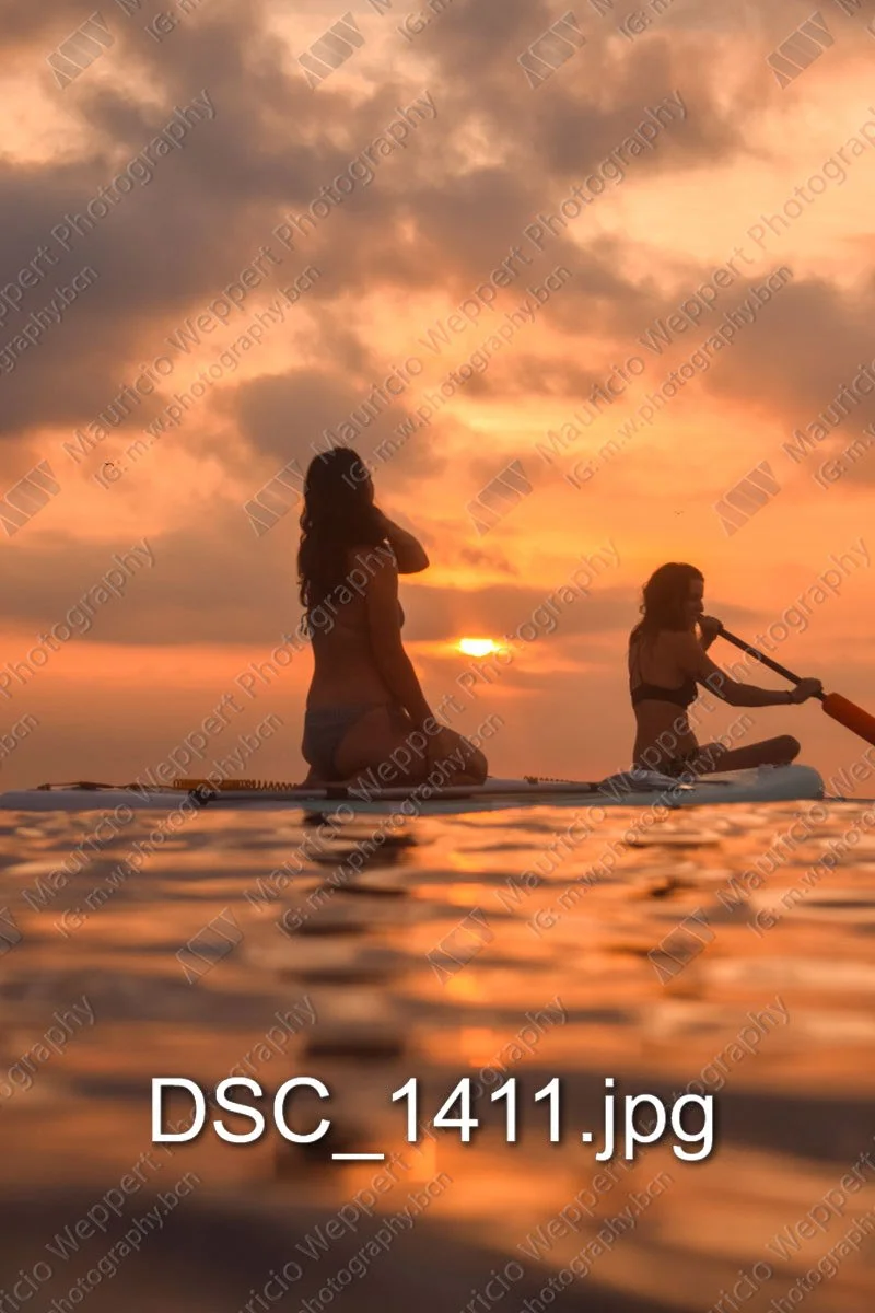 DSC_1411.jpg