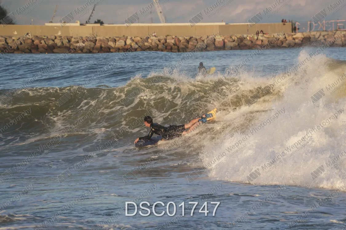 DSC01747.jpg