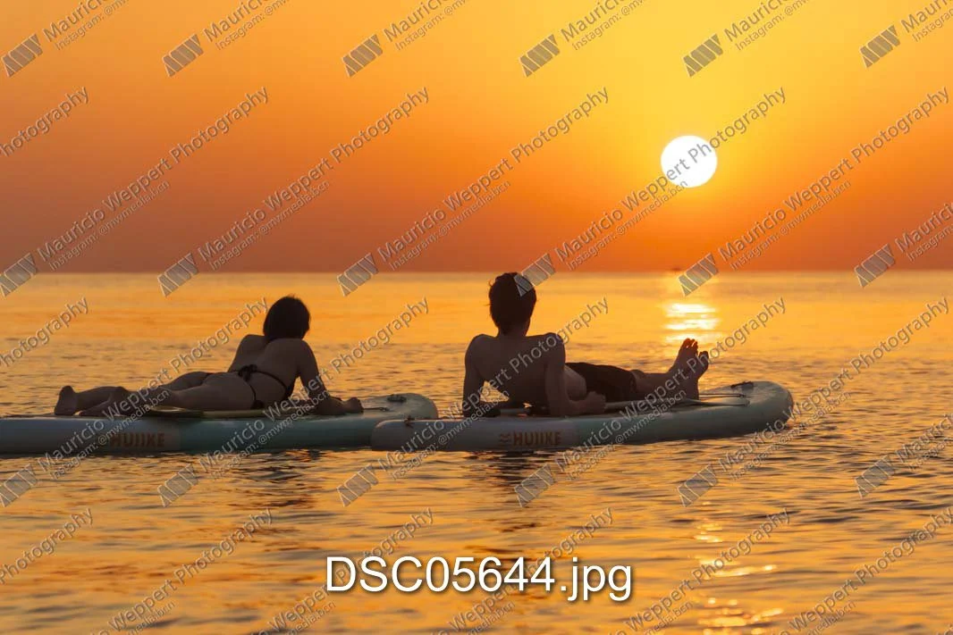 DSC05644.jpg