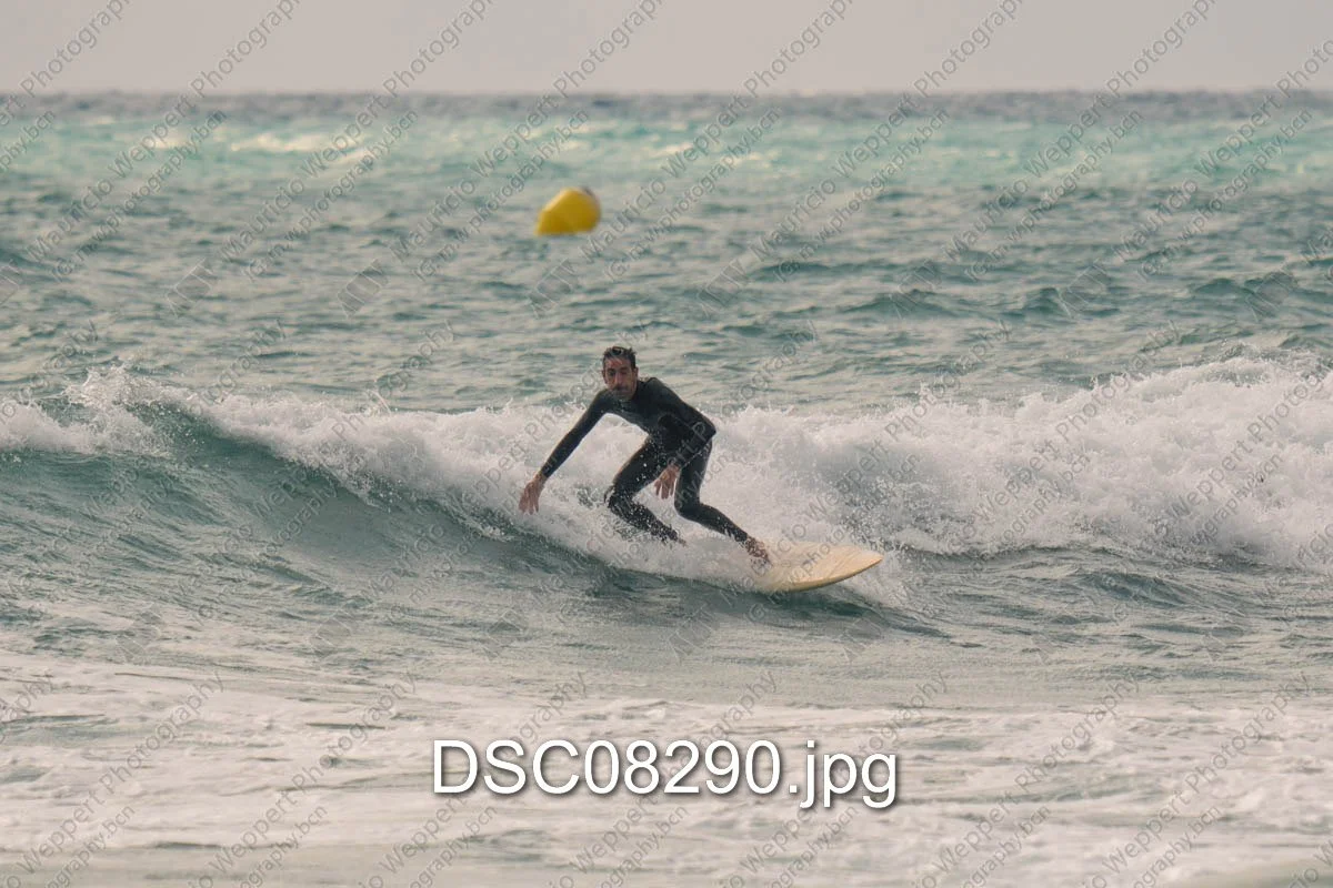 DSC08290.jpg