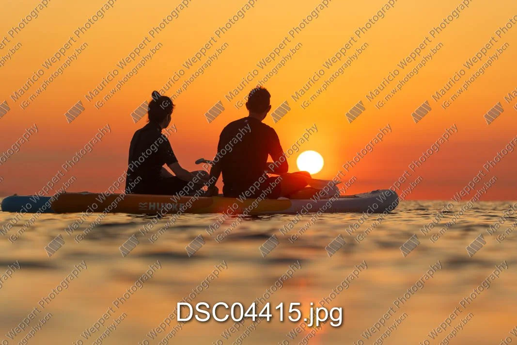DSC04415.jpg