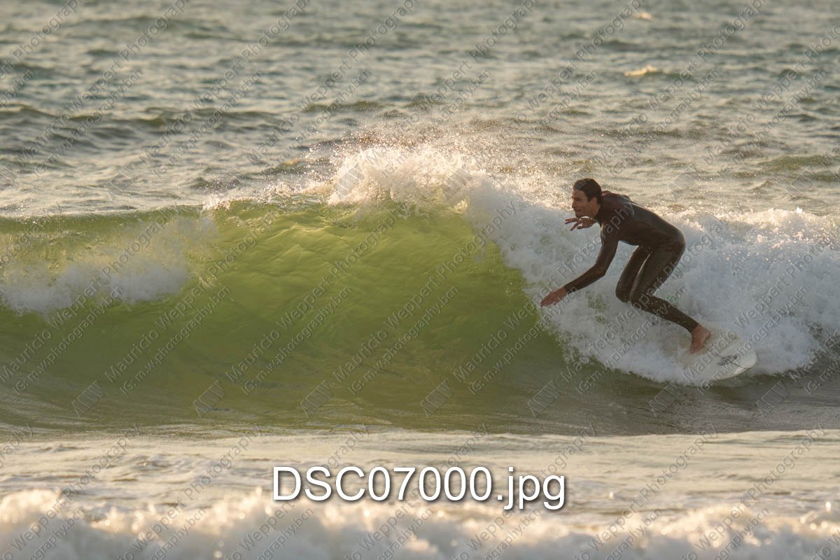 DSC07000.jpg