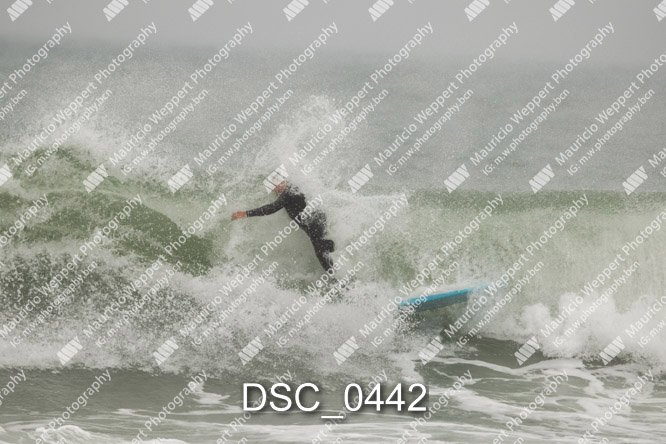 DSC_0442.jpg