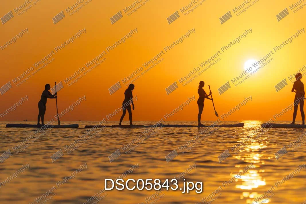 DSC05843.jpg