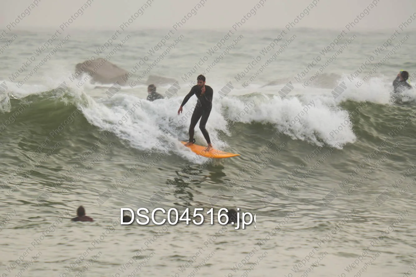 DSC04516.jpg