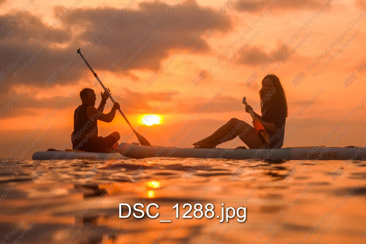 DSC_1288.jpg