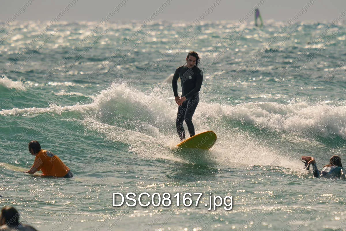 DSC08167.jpg