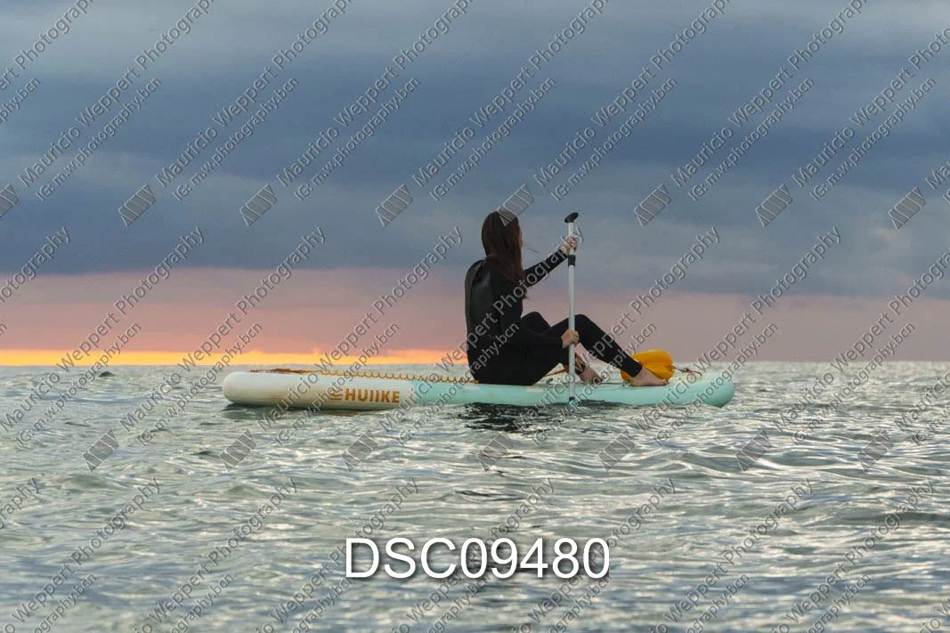 DSC09480.jpg