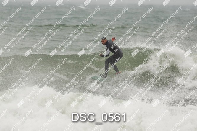 DSC_0561.jpg