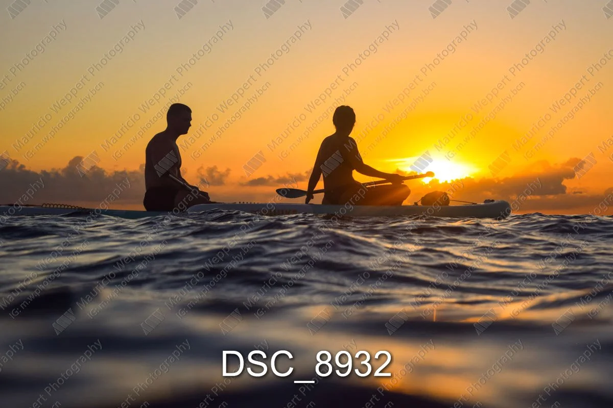 DSC_8932.jpg