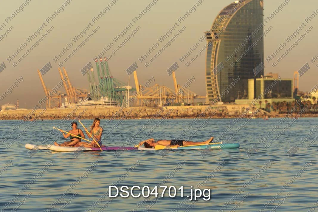DSC04701.jpg