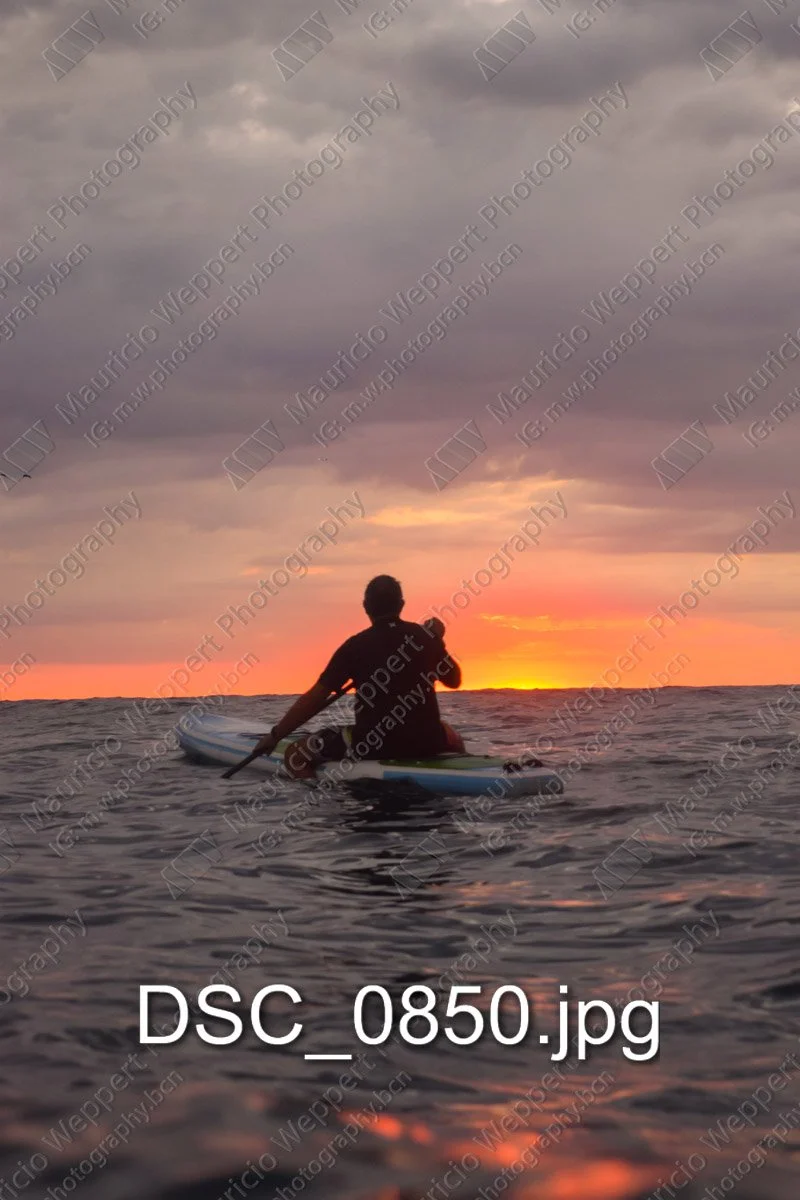 DSC_0850.jpg
