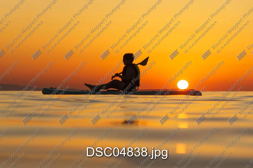 DSC04838.jpg