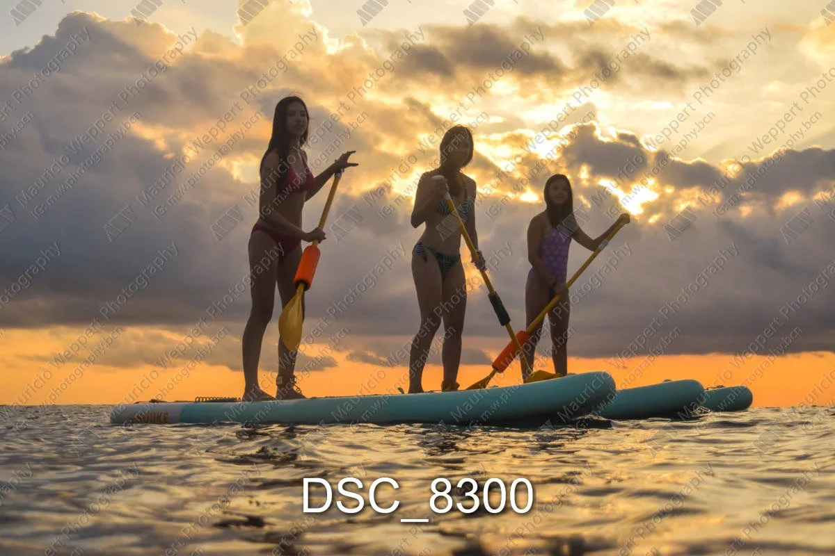 DSC_8300.jpg