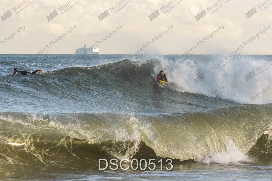 DSC00513.jpg