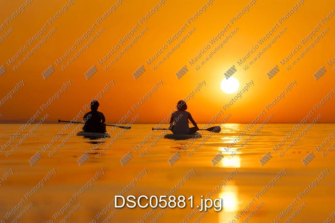 DSC05881.jpg