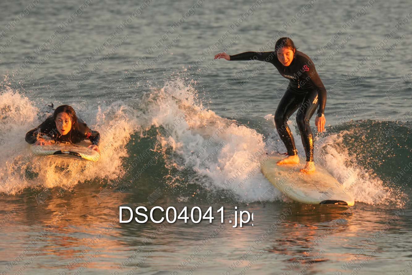 DSC04041.jpg