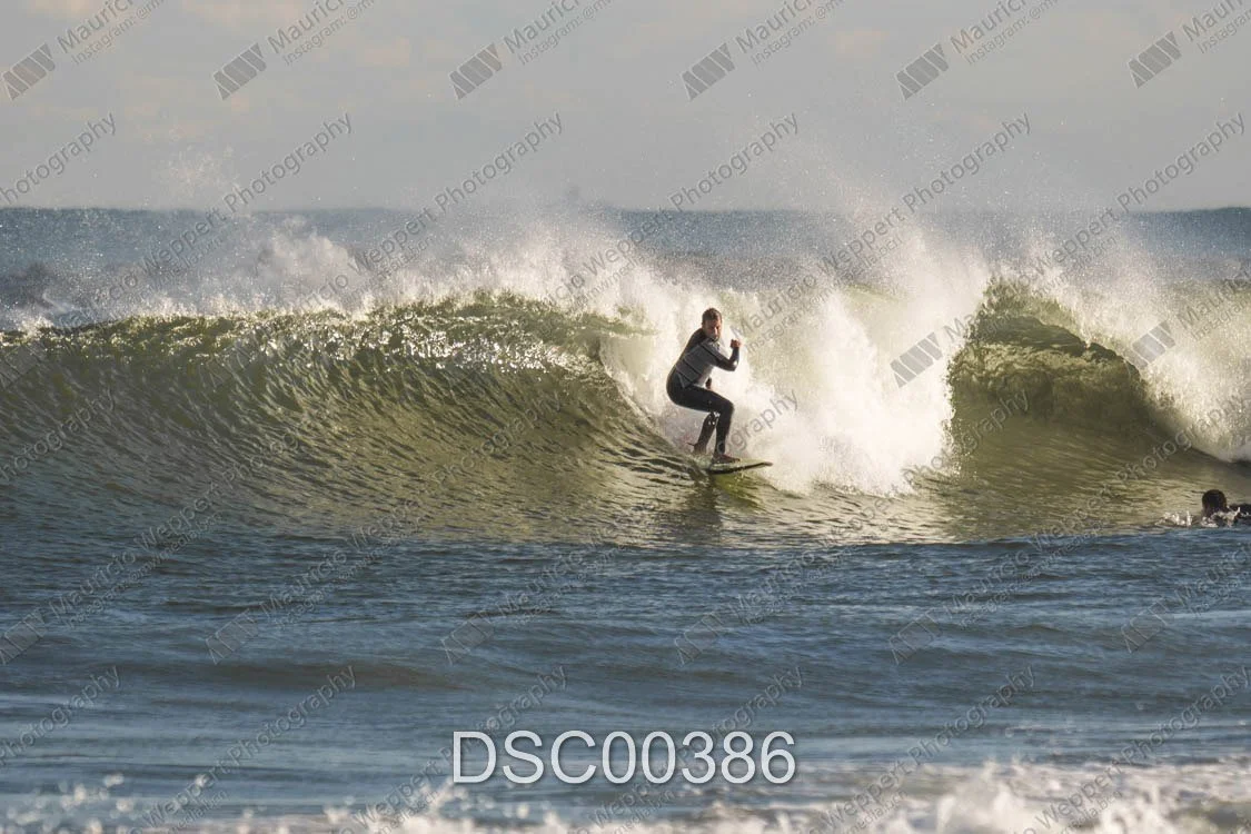 DSC00386.jpg
