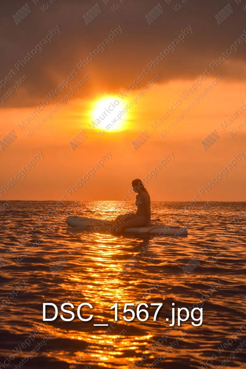 DSC_1567.jpg