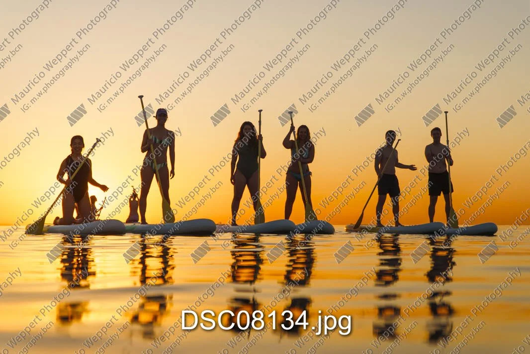 DSC08134.jpg