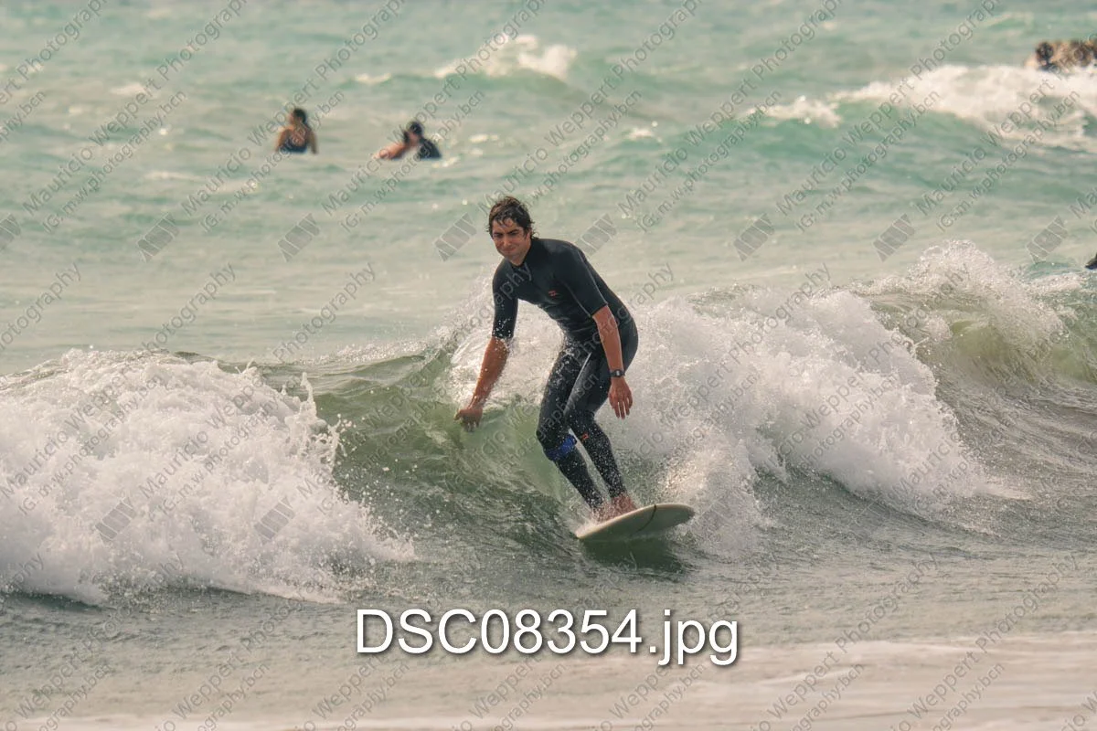 DSC08354.jpg