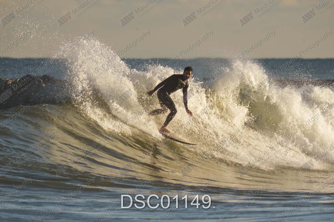 DSC01149.jpg
