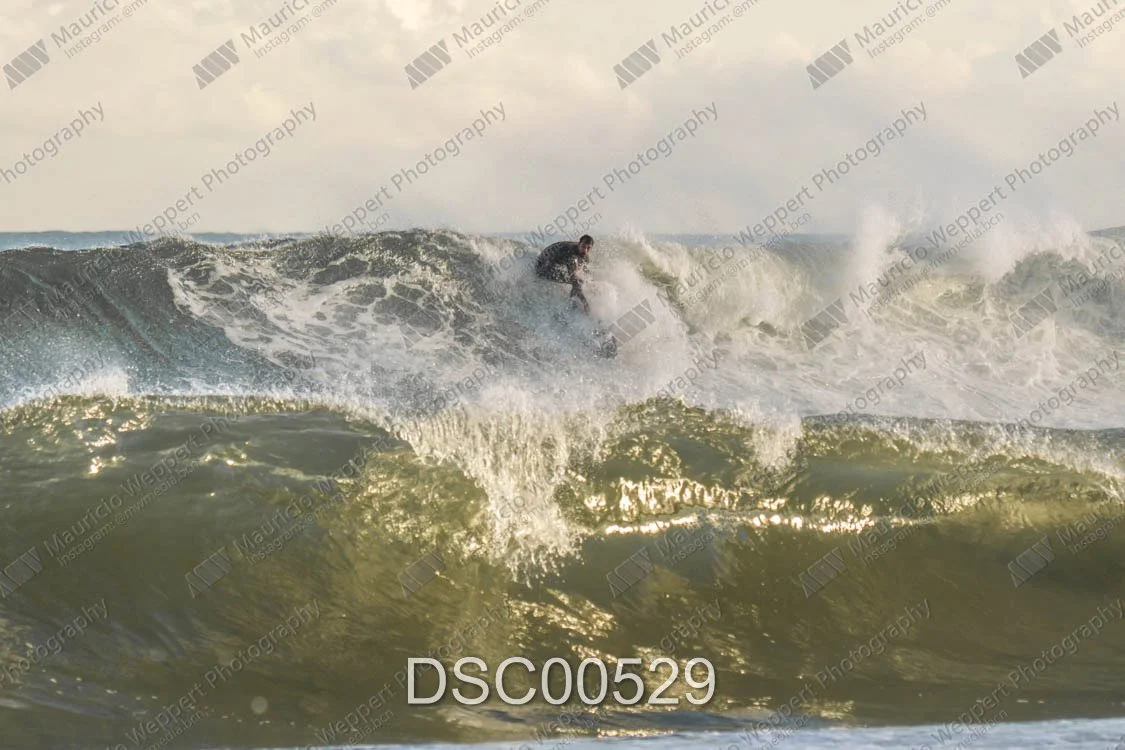 DSC00529.jpg