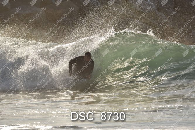 DSC_8730.jpg