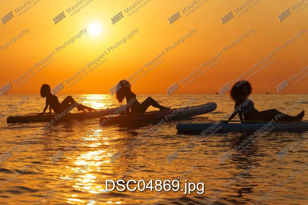 DSC04869.jpg