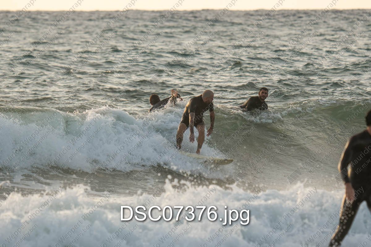 DSC07376.jpg