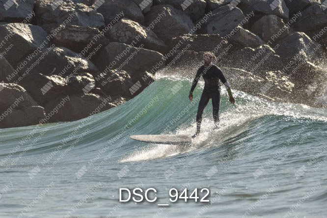 DSC_9442.jpg