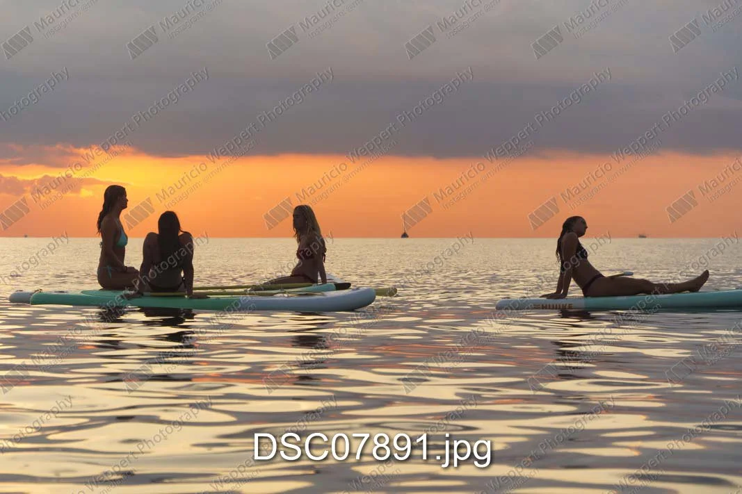 DSC07891.jpg