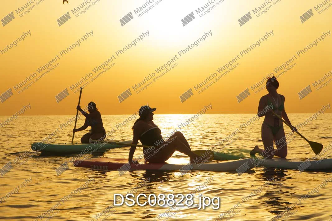 DSC08828.jpg