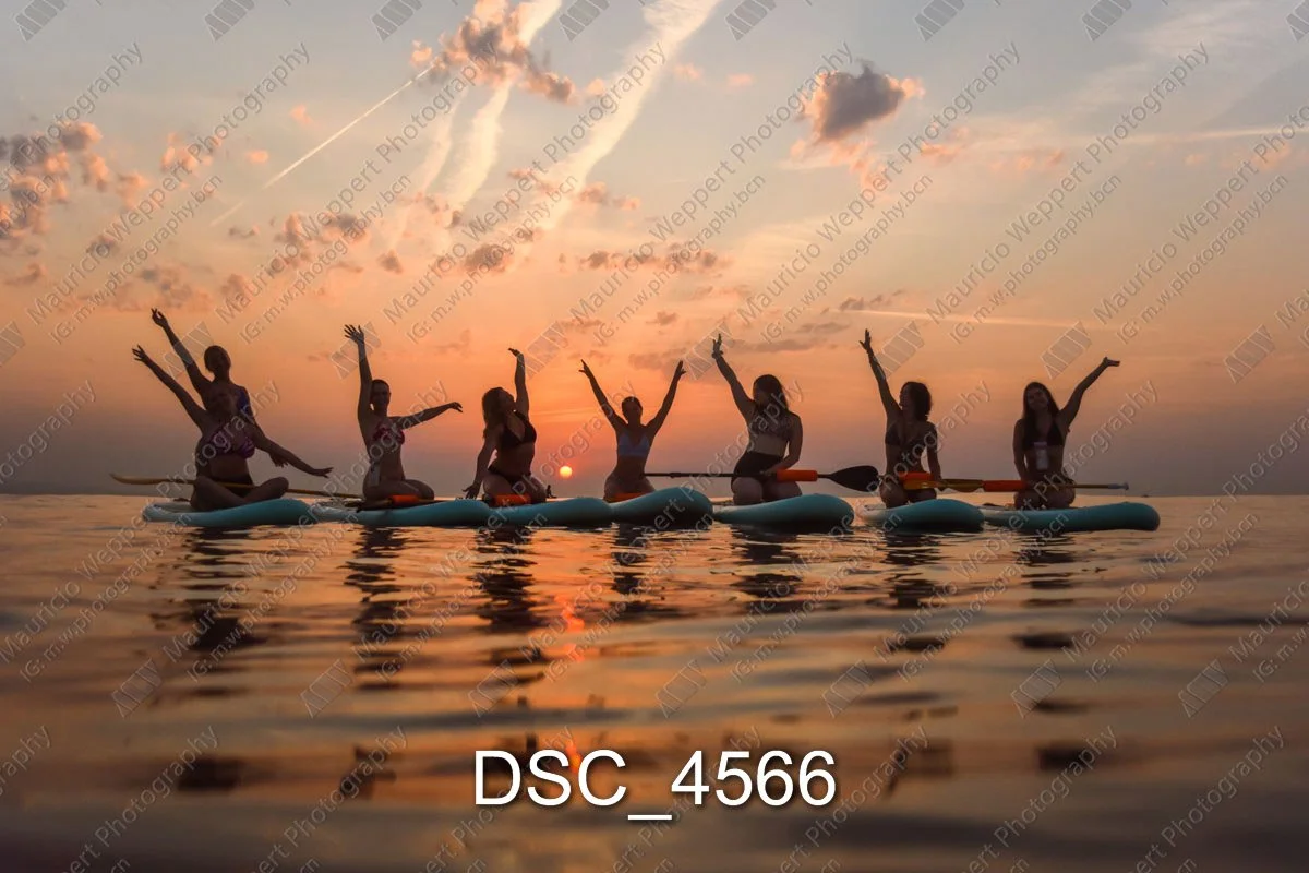 DSC_4566.jpg