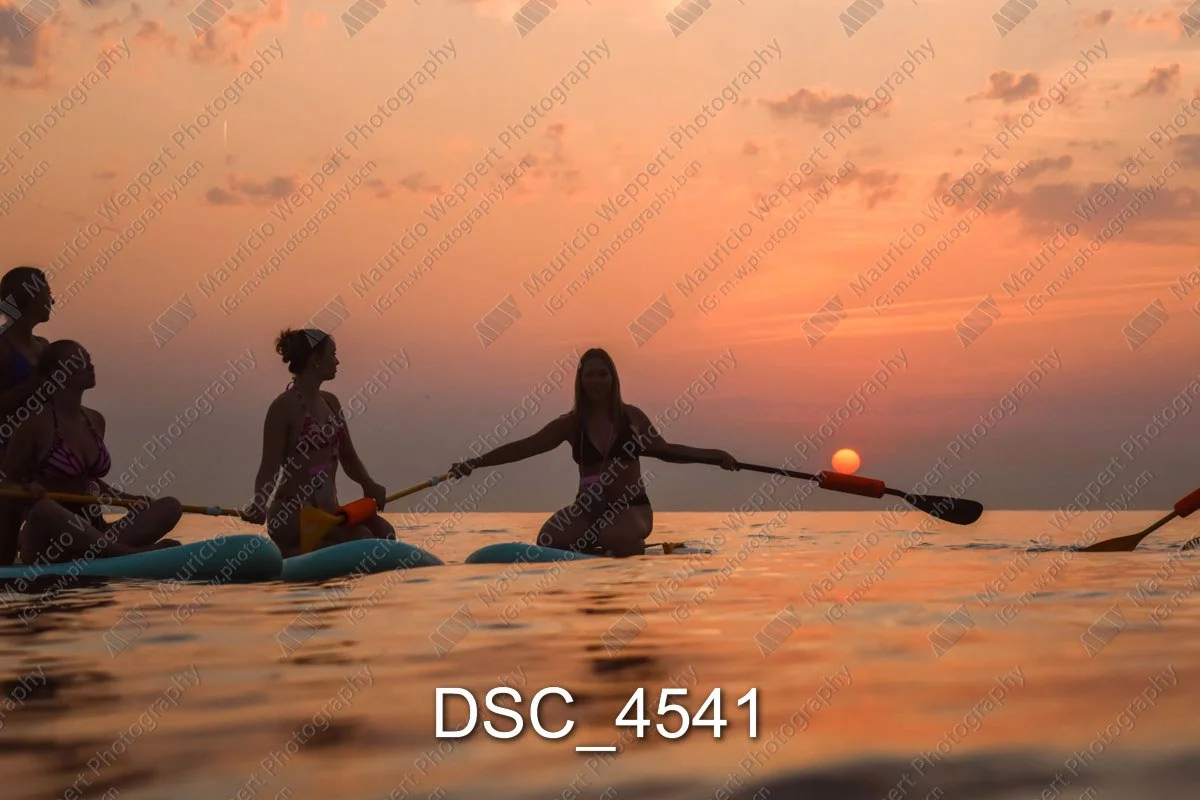 DSC_4541.jpg