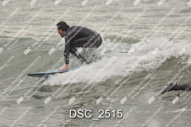 DSC_2515.jpg