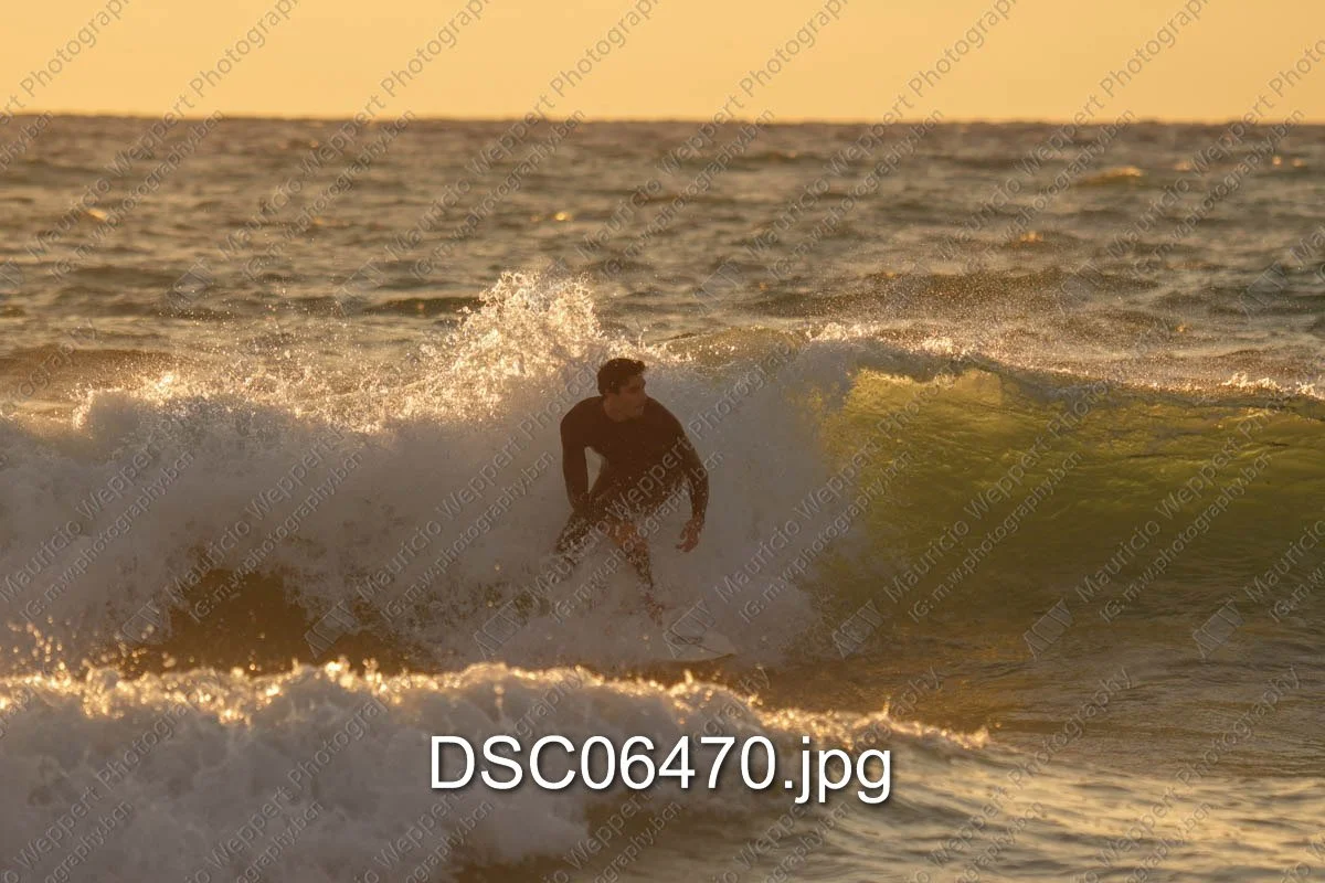 DSC06470.jpg